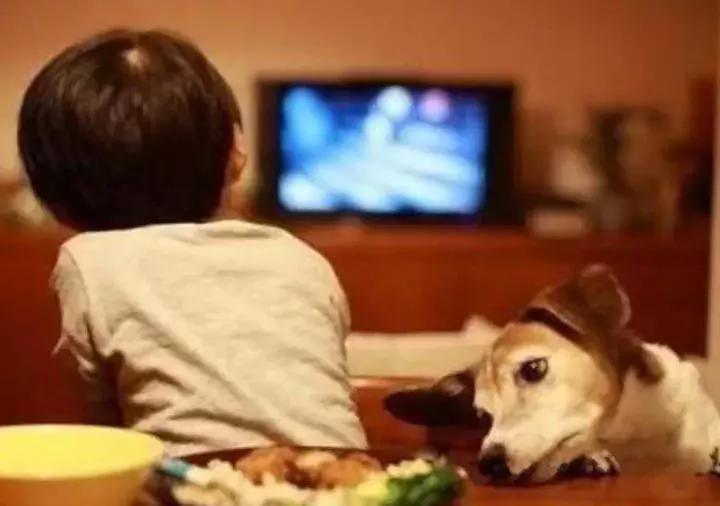 弱视治疗仪怎么用,弱视治疗仪器