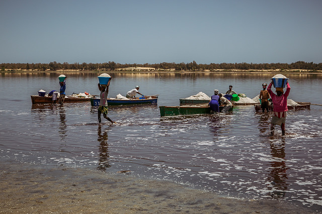 跟着访问非洲去旅游——非洲大陆西端的塞内加尔