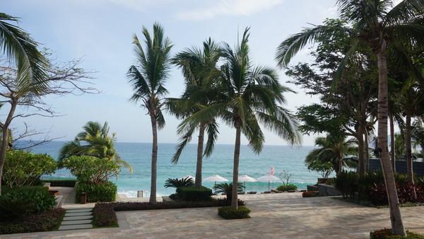 一个人的旅行由风决定,一个人的旅行头像