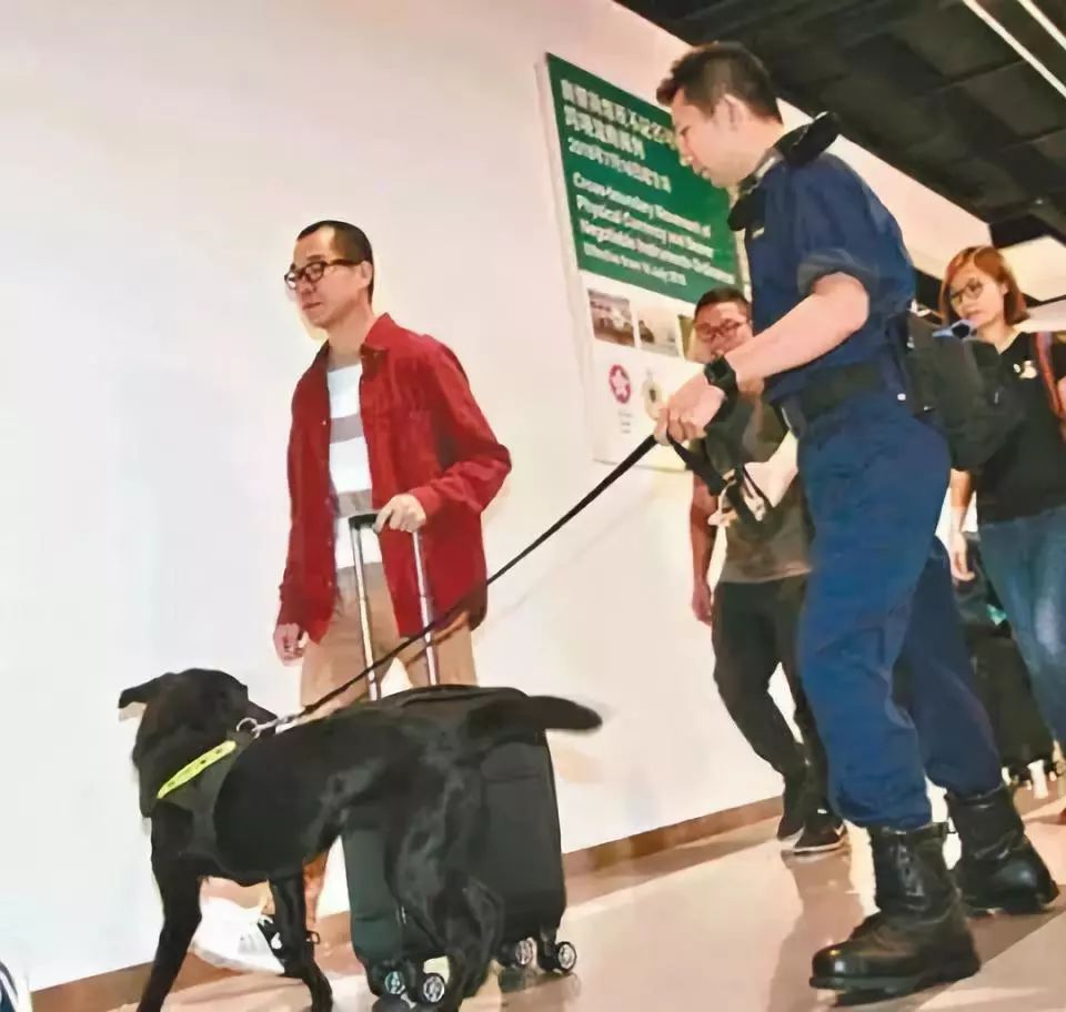 香港7月通关政策,第一次去香港哪些是违规罚款的