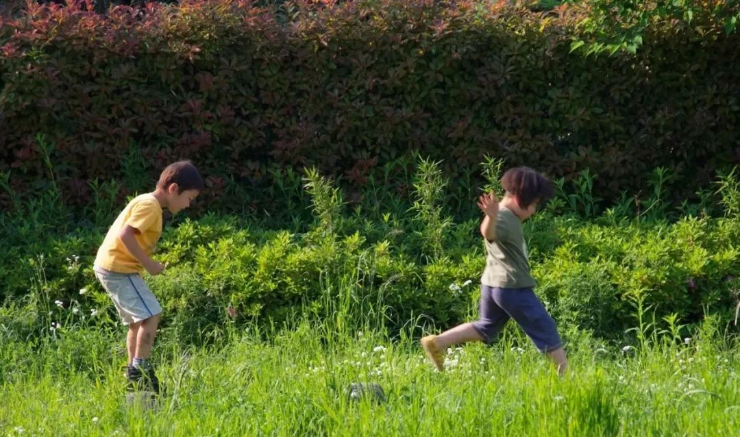 去日本最危险的公园,日本哪个公园最危险