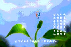 上海市洛浦区社工站,一社区一社工精彩亮相