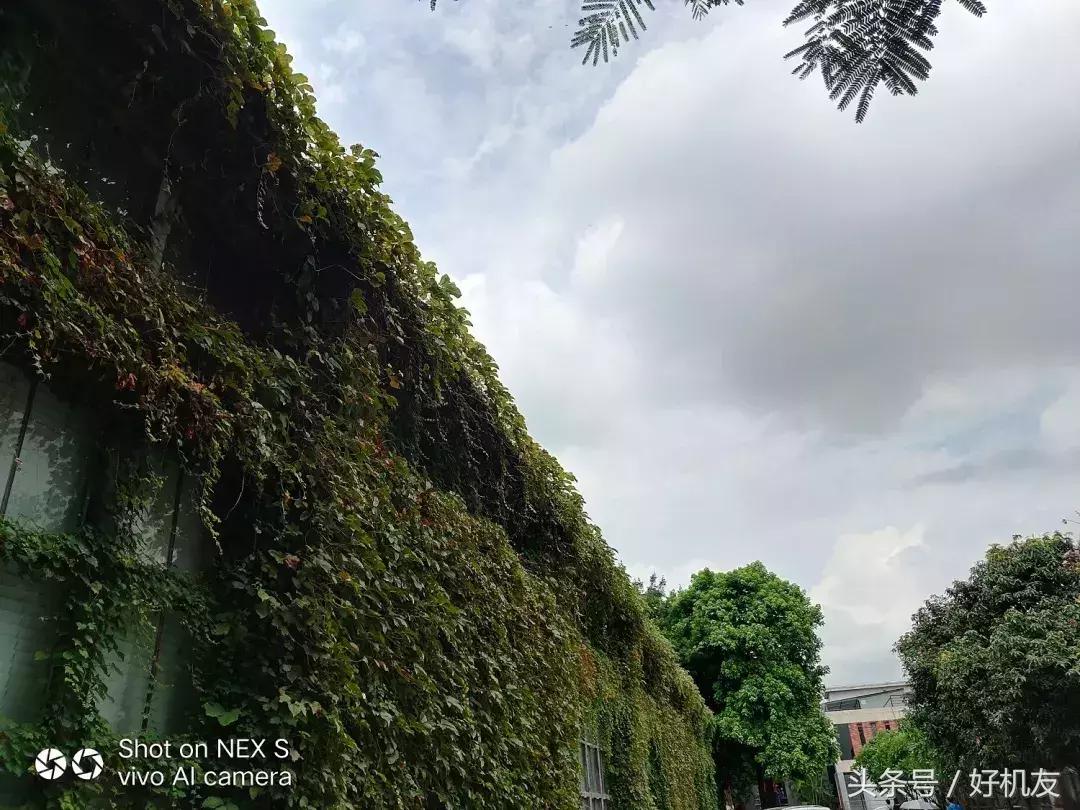 oppofindx与vivonex哪个好点,oppofindx对比vivonex双面屏