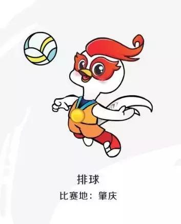 省运会赛程安排及时间表,省运会赛事预告公布