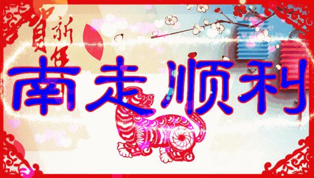 祝你天天快乐早上好图片,祝大家早上好天天有个好心情