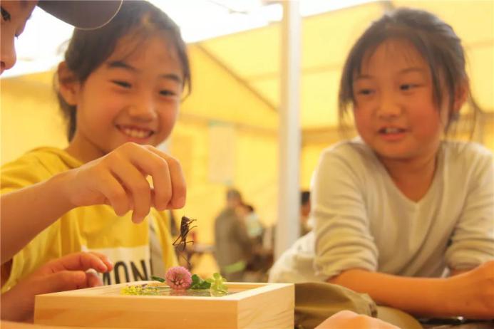 童年的滋味就是-嘴角有笑，抬头有星星——大露营实录Day6