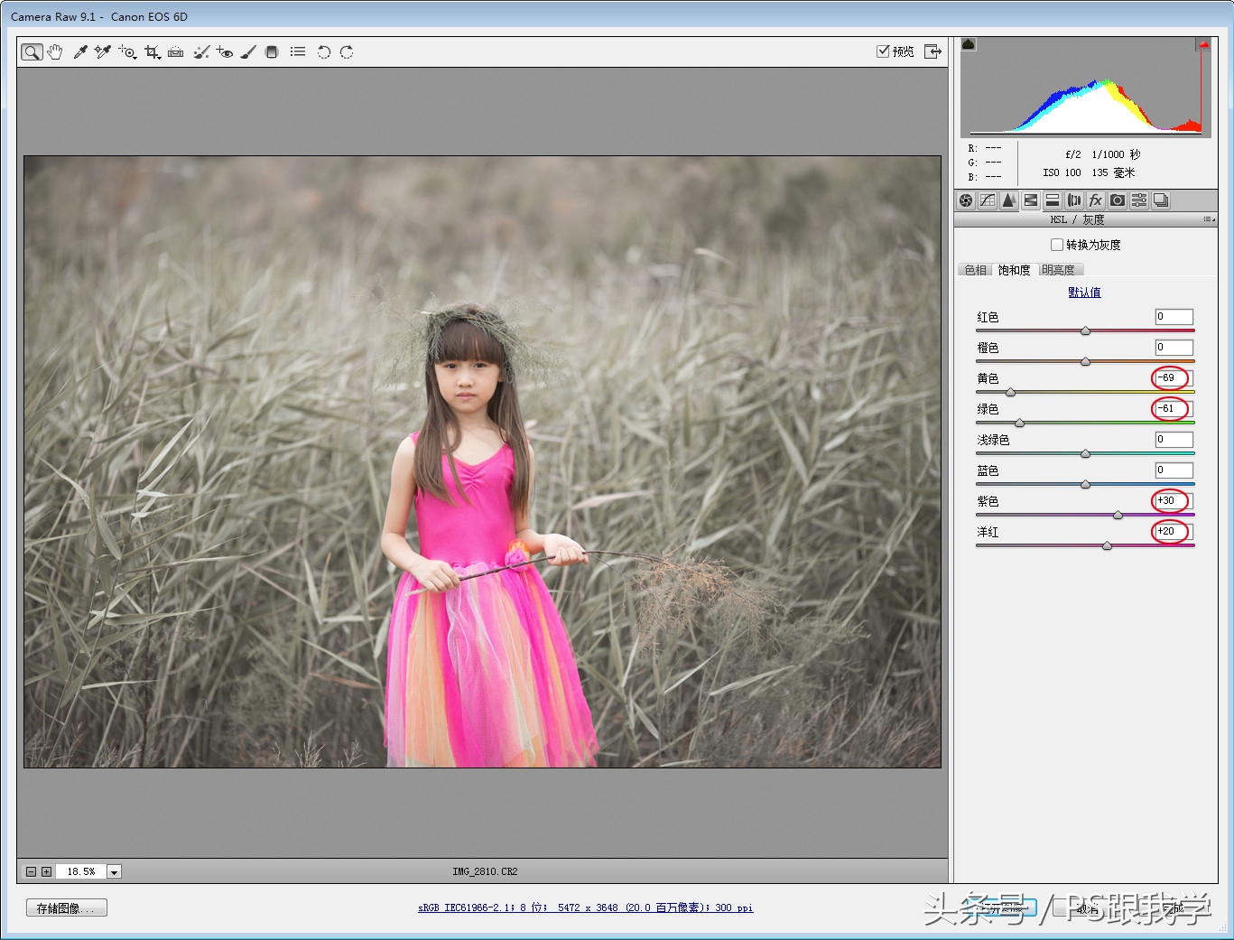 camera照片调色教程,如何用PS2018调整照片色彩