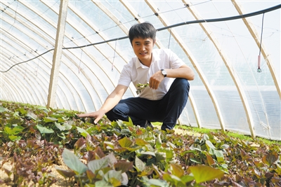 王帅新商业思维,王帅商业思维