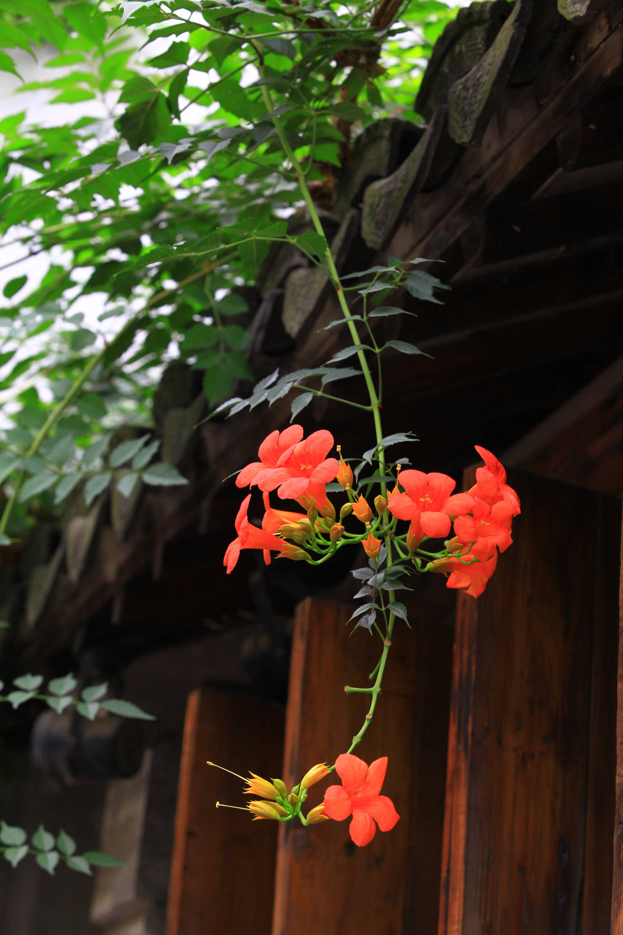 如果小人避不开，请务必做到这3点，你将受益很多！