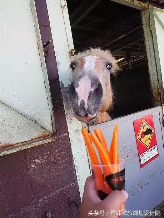 亲子牧场的标杆，看看这家年入2亿的母亲牧场是怎么做到的