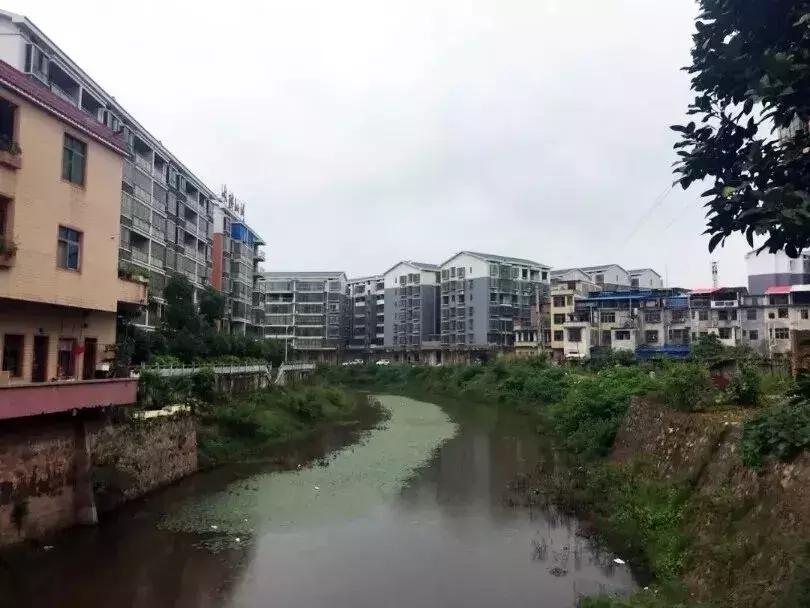 衡阳茅洞桥，我难忘的根据地！