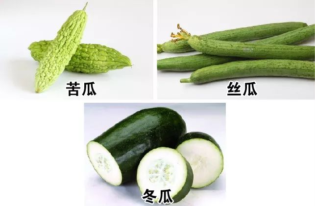 今日入伏，这8件事对你至关重要！再这么做，身体就毁了