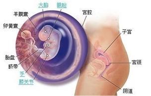 怀孕后，白带有这些变化是正常的！