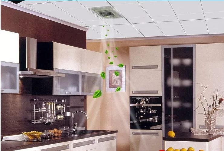 夏天凉霸实用吗,冷霸和凉霸哪个更适合厨房