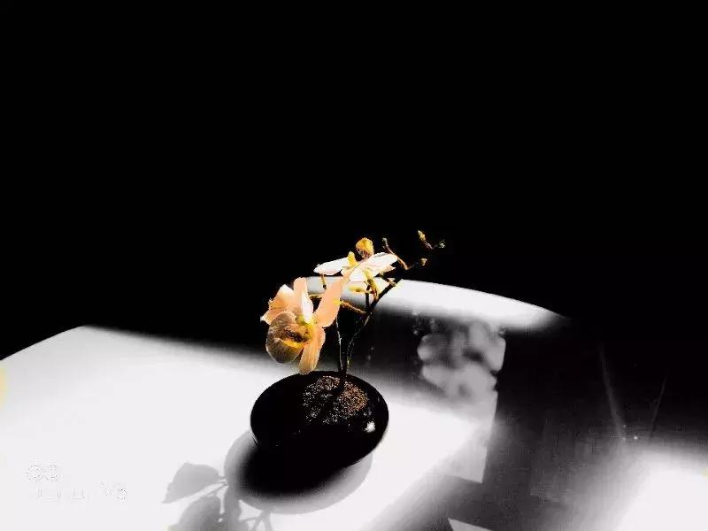 手机拍出好看的影集,手机摄影作品推荐