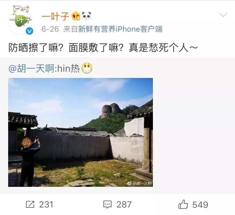 一叶子国货良心护肤品,国货一叶子价格