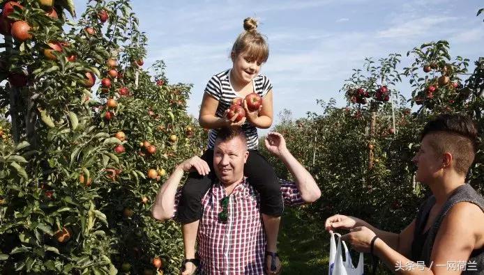 荷兰打工现状如何,荷兰生活不便利的地方