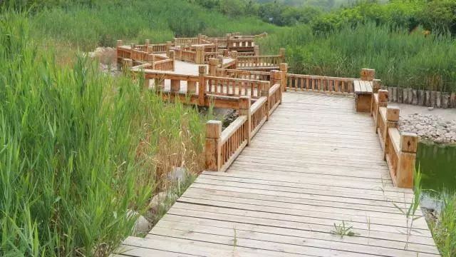 又多又好玩的旅游地方,又大又好玩的公园