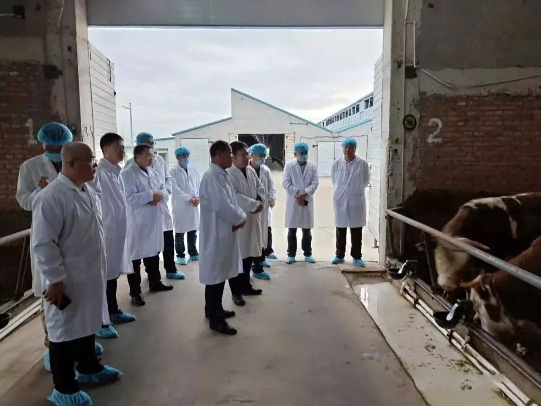 关注丨科技兴企书写顺鑫特色身体力行落实精准扶贫——顺鑫控股媒体交流会纪实