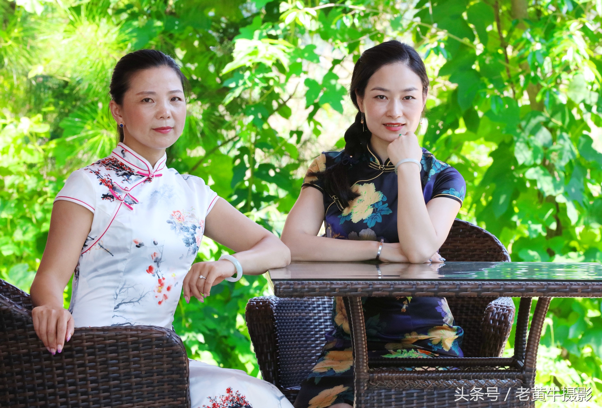 京山老年旗袍秀视频,月季园旗袍走秀