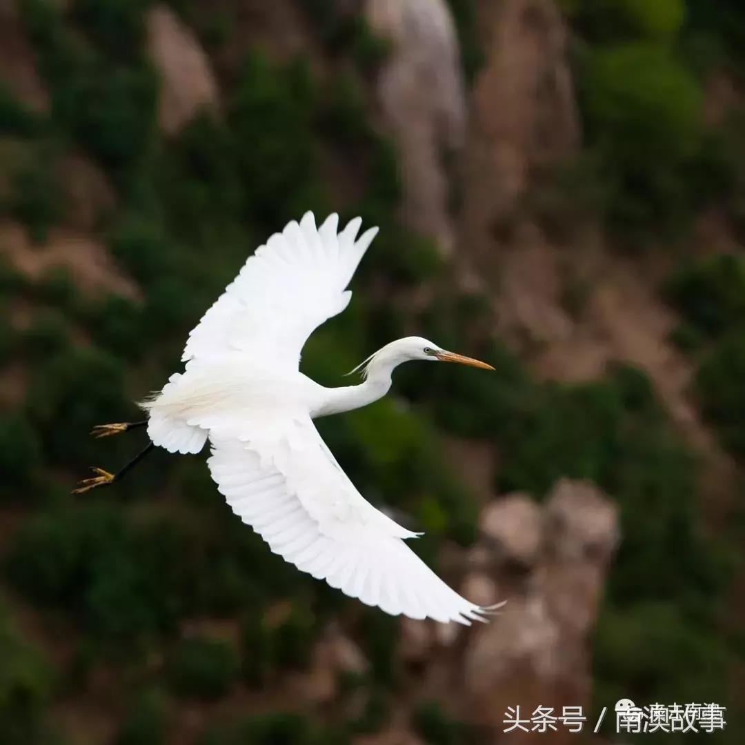 这座小岛究竟隐藏了多少秘密,一座鲜为人知的隐藏小岛