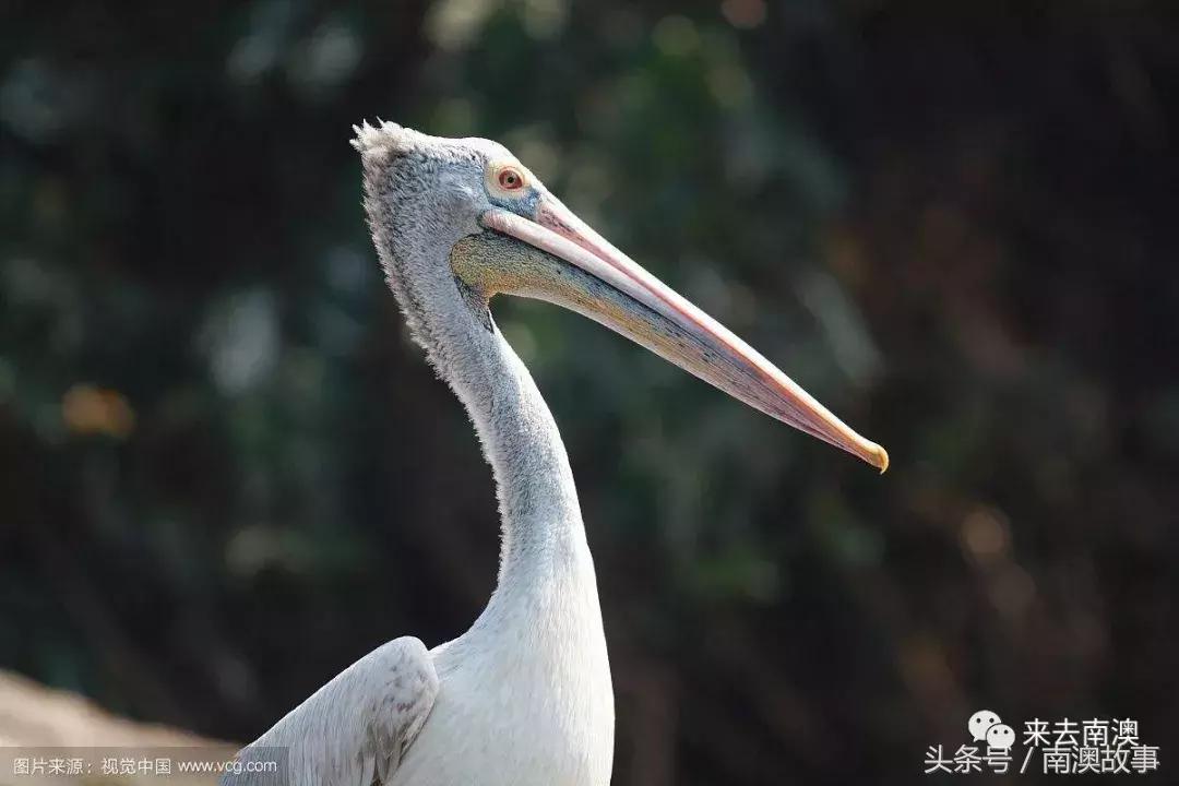 这座小岛究竟隐藏了多少秘密,一座鲜为人知的隐藏小岛