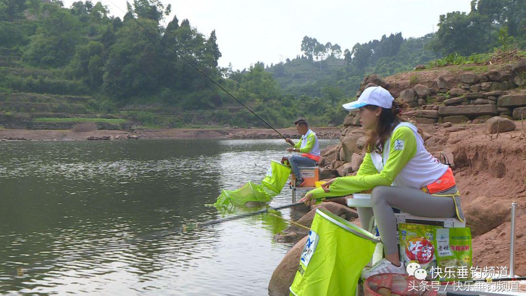 白条闹窝严重这4个方法你用过没,白条在底下闹窝最快解决方法