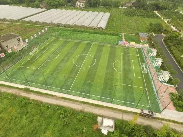 成都蓉城网红球队,新都出名的网红