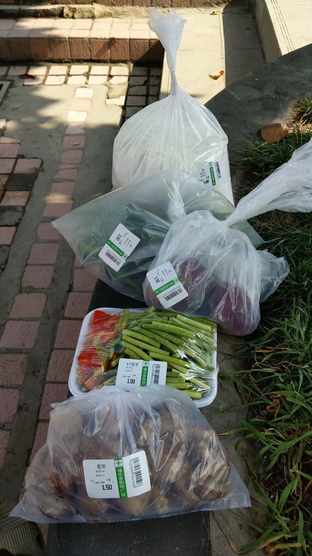 骑行第83天视频,东南亚骑行第二十八天