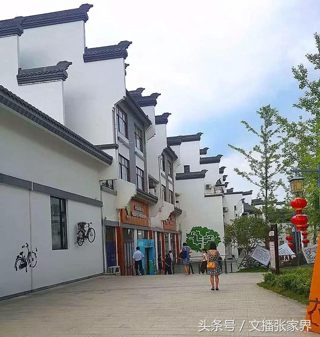 浔龙河半天游,浔龙河三期规划