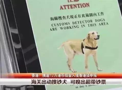 去香港超过7天被罚款多少,去香港超过7天了罚款吗