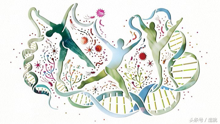高智商、高颜值的人应该多生孩子？你大概对遗传学有误解