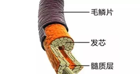 发泥好还是发油好用,发泥好用还是发油