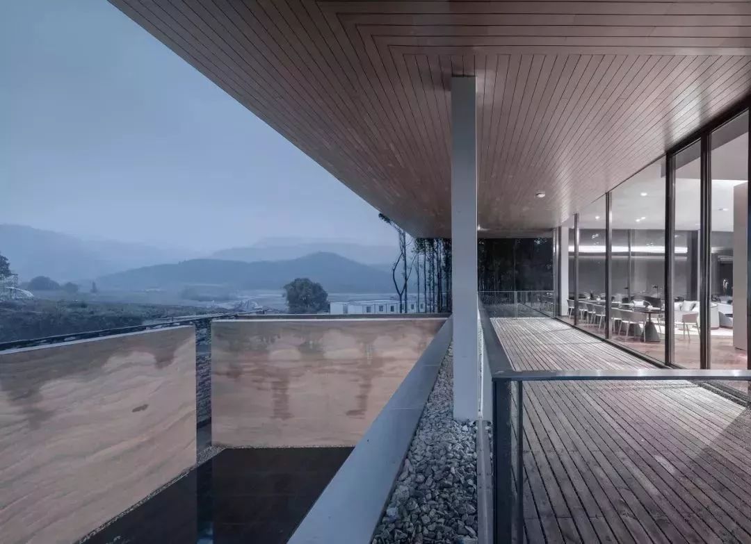 义乌这地方太惊艳！2880只瓷碗铺地，30万元一株的羽毛枫，近百万元一棵的黑松……