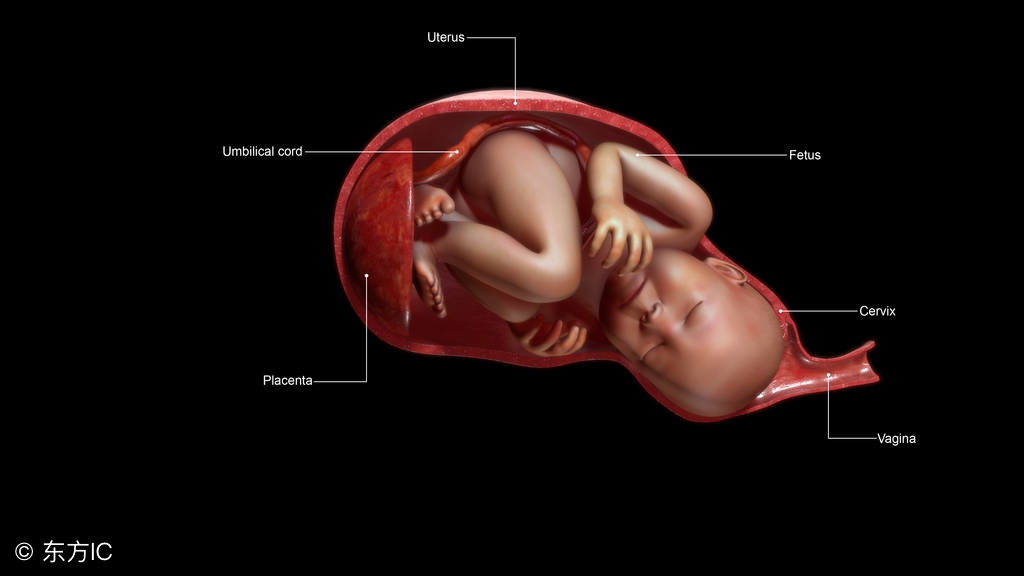 生完孩子该上环还是结扎,生完孩子有必要上环吗