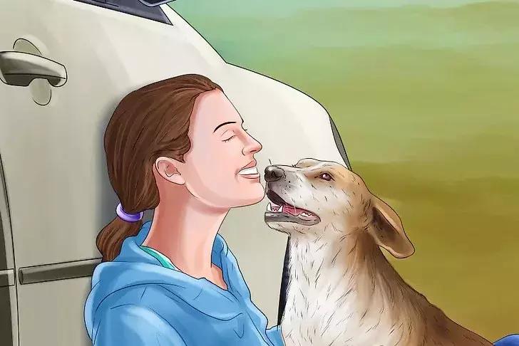 猫狗晕车淌口水,猫狗坐车需要注意什么