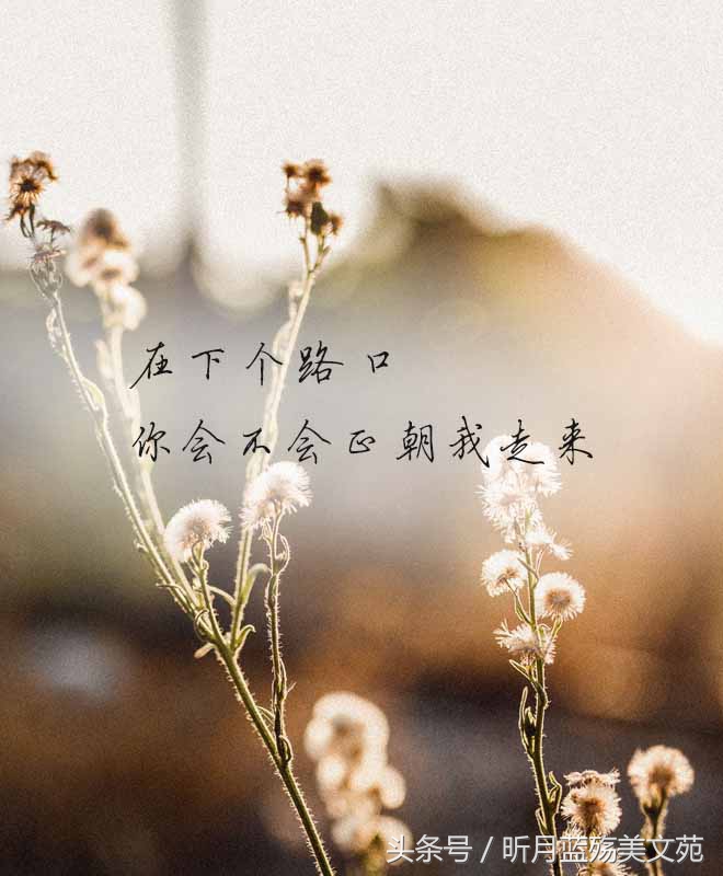 有一种爱叫做放手泪目,世上有一种爱叫放手