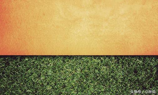 装修好的房子墙壁发霉怎么办,家里的墙壁发霉了怎么办最有效