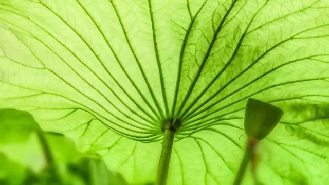 陈文敏｜网络秽语的污名化传播及其伦理困境