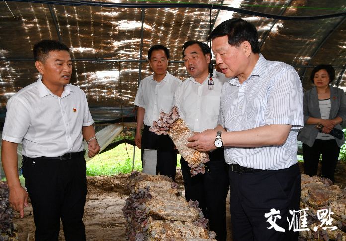 娄勤俭宿迁徐州调研脱贫攻坚:与乡村振兴融为一体系统推进