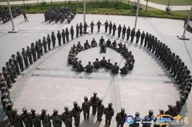 临沂大学排名前十的专业,临沂10所大学排名