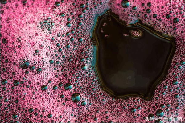 温度低葡萄酒能不能发酵,温度太低葡萄酒