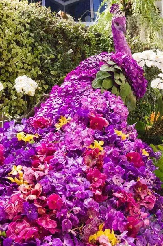 今天7月19，太美了！绝美送给群里好友！看完心情大好~