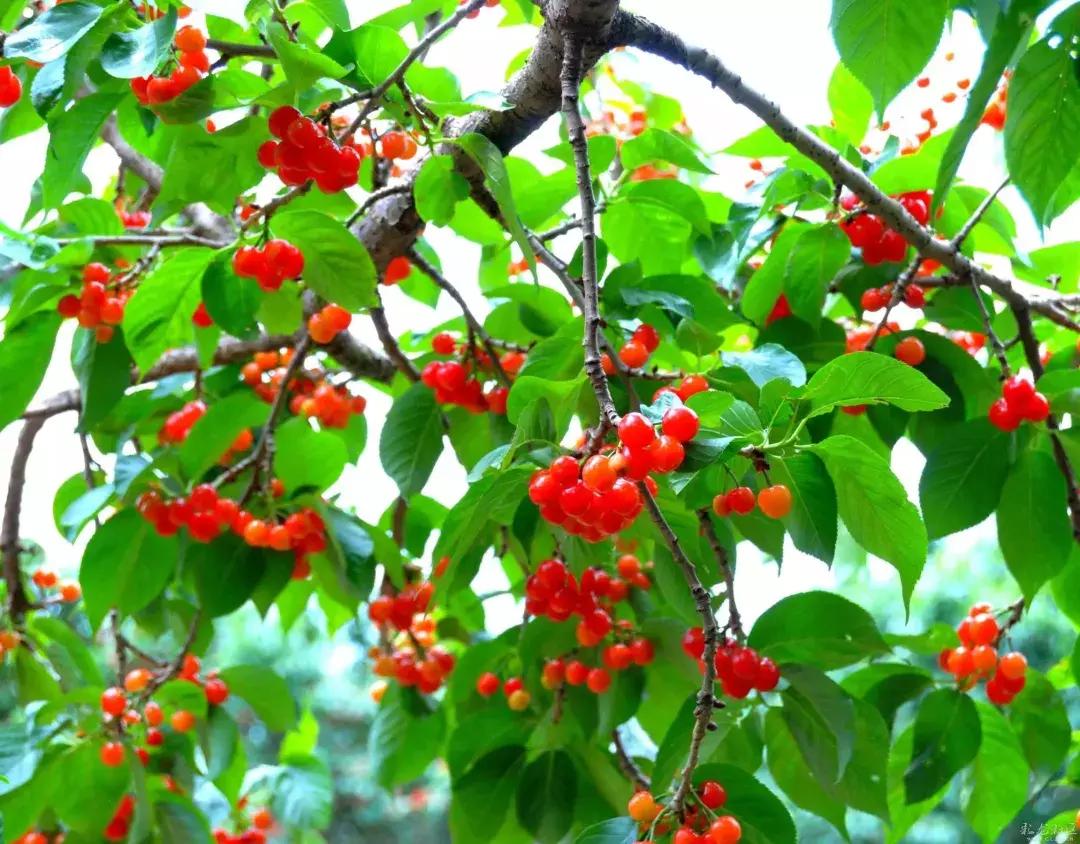 天津10个乡镇入选中央重点名单！这些乡镇重大利好，你入围了没？