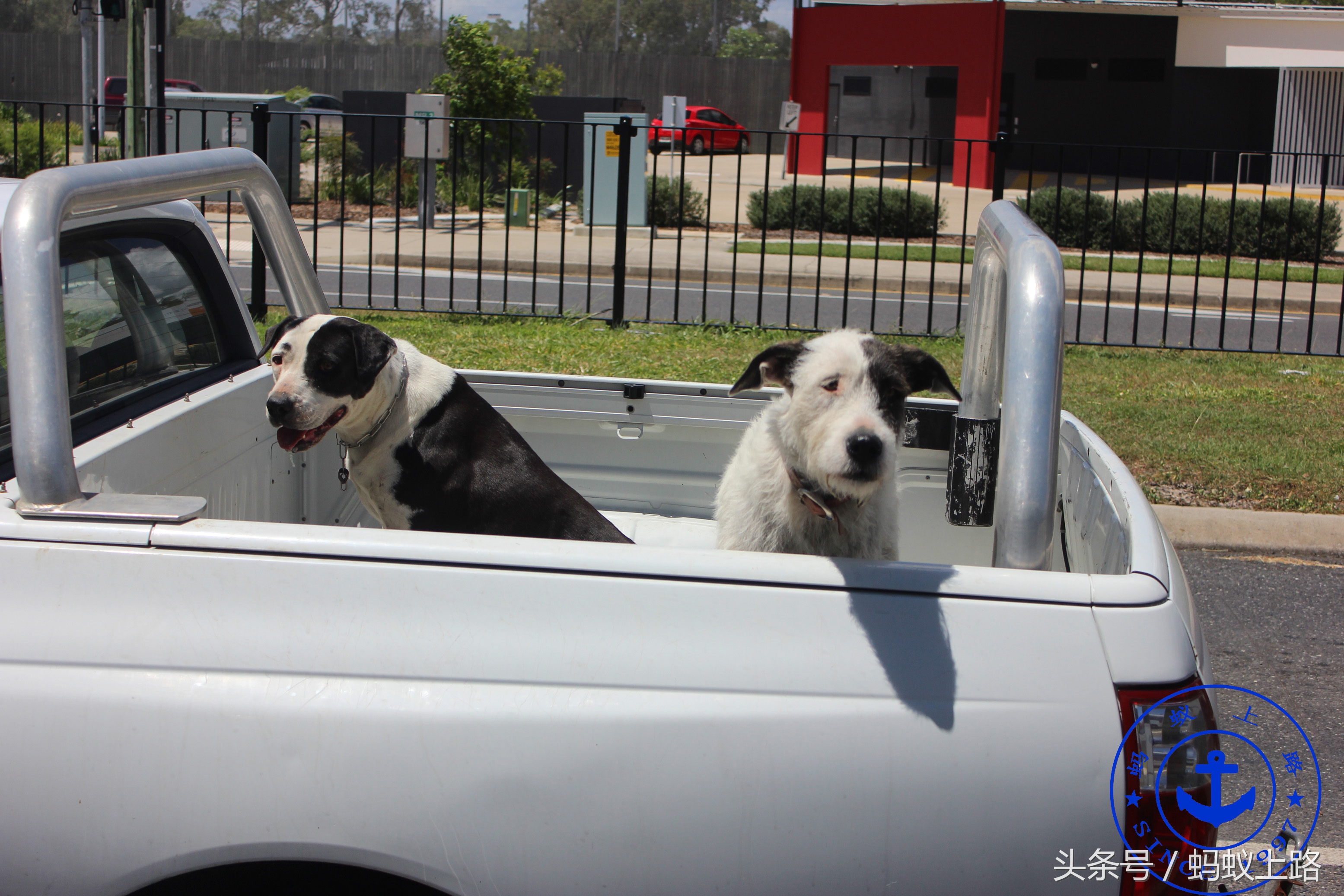 澳大利亚的gladstone在哪装煤,澳大利亚的gladstone