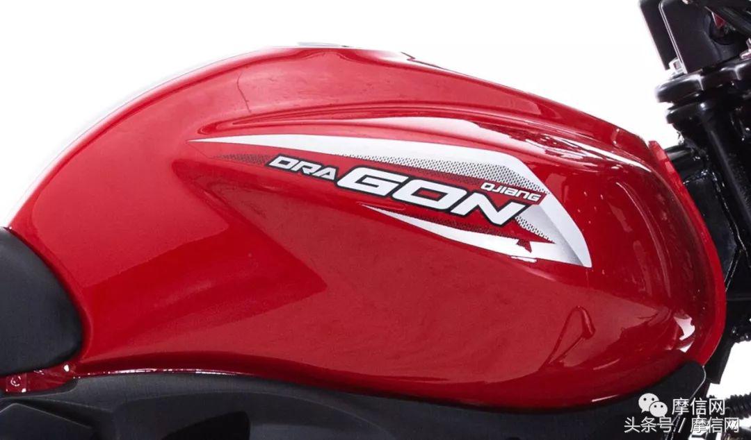 钱江龙御龙猛龙飞龙哪个好,猛龙御龙钱江龙