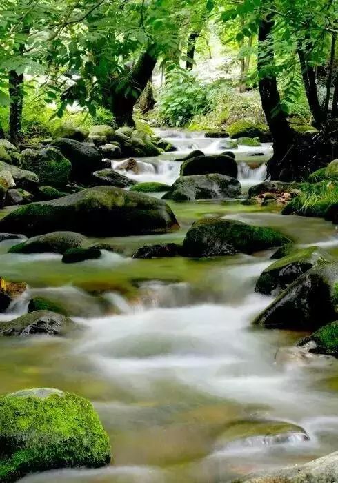 2022年宝鸡避暑好去处,宝鸡周边夏日避暑绝佳去处