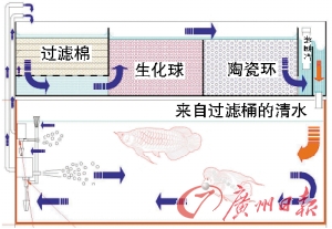鱼缸过滤系统怎样才不会有水流声,80厘米鱼缸一般用什么过滤系统