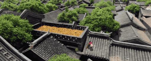 邪不压正彭于晏视觉震撼原创剪辑,彭于晏邪不压正片段彭于晏