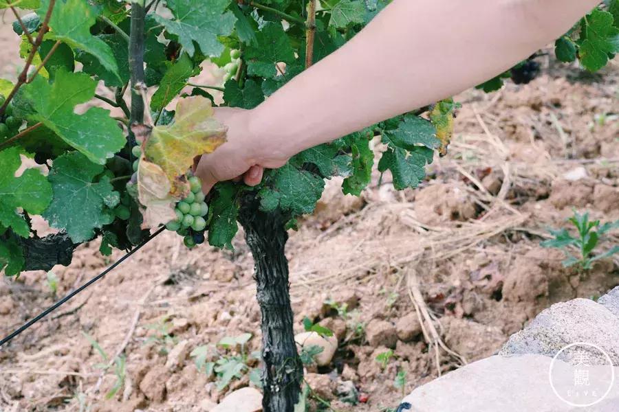 西安最时尚的地方不在小寨不在SKP,而在蓝田·普罗旺斯